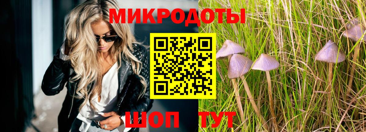 Заводоуковск  магазин продажи наркотиков  Вход с VPN  Псилоцибиновые грибы GOLDEN TEACHER  Галлюциногенные грибы мухоморы 